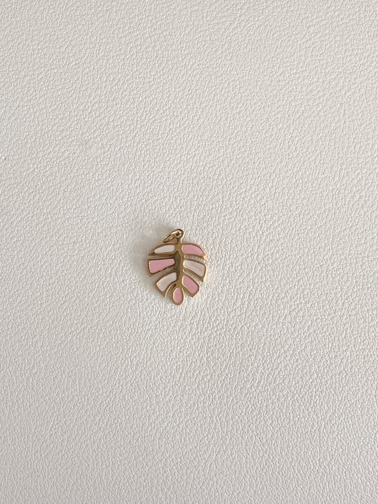 Pink monstera