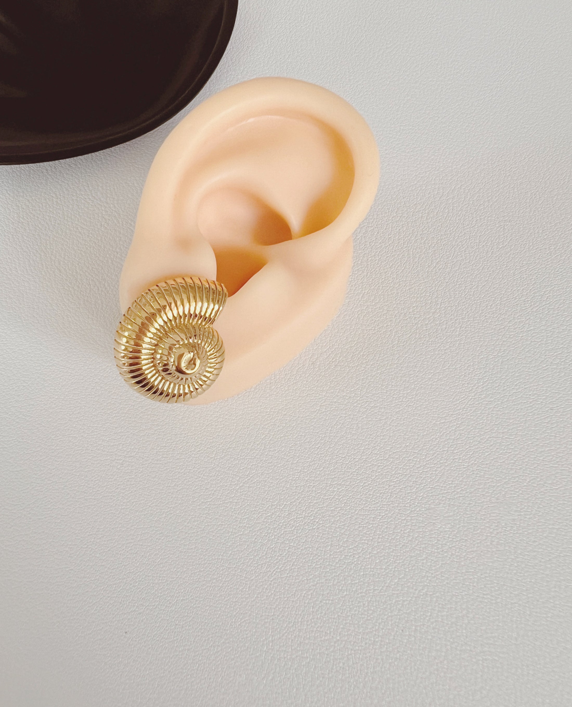 Spiral shell studs