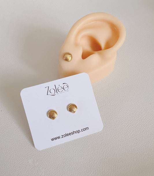 Shell studs