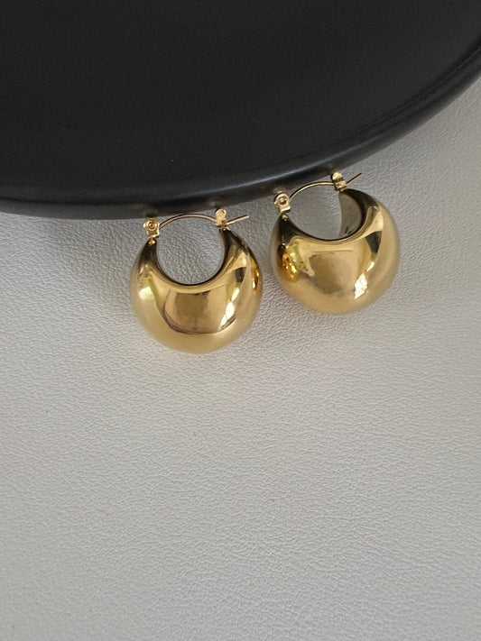 Ximena earrings