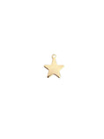 Load image into Gallery viewer, gold star
