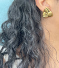 Load image into Gallery viewer, Merani earrings
