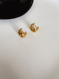 Load image into Gallery viewer, Vane earrings
