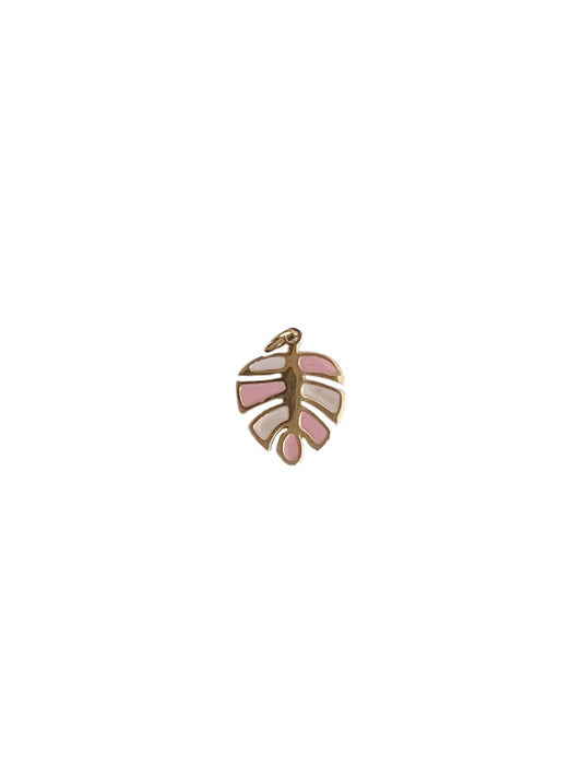 Pink monstera